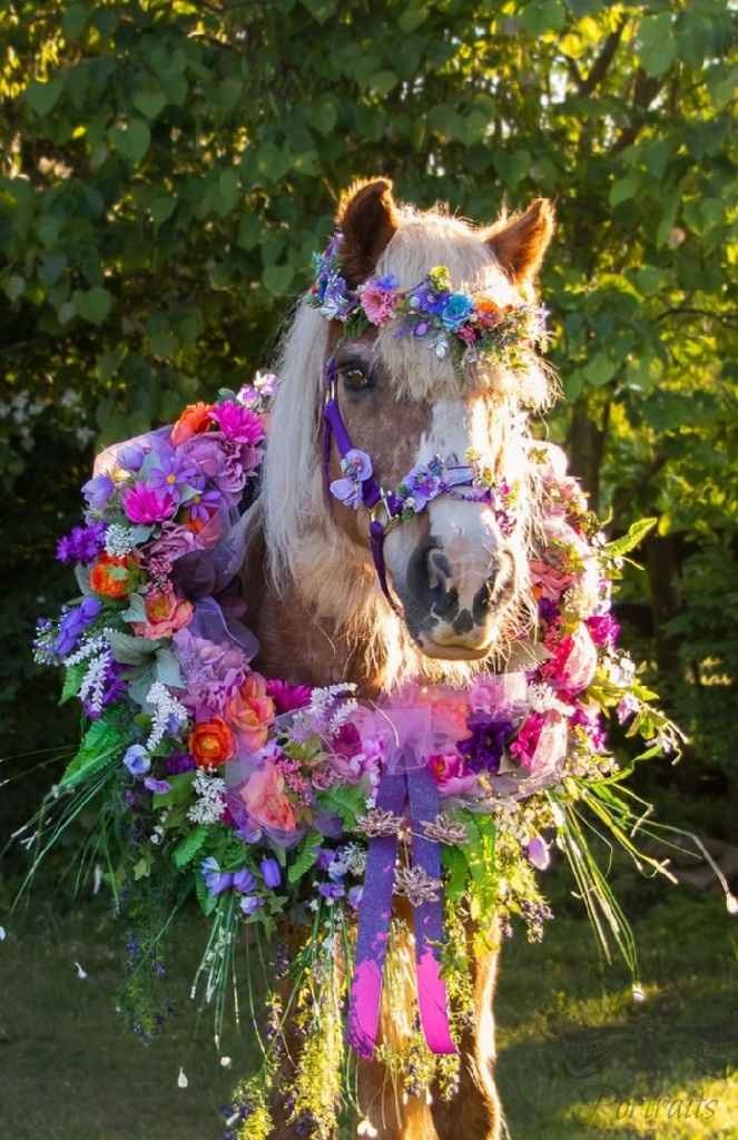 21 days to go! Pro- shot of Sassparilla ❤ - 1