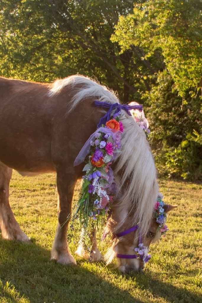 21 days to go! Pro- shot of Sassparilla ❤ - 2