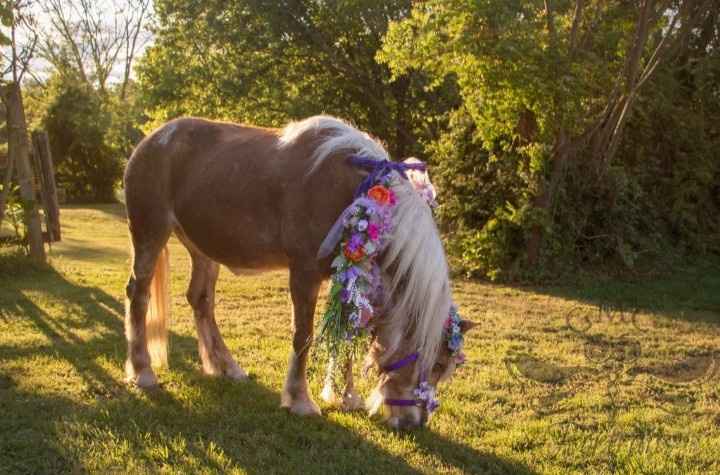 Sneak peek of portrait session.  💜 - 1