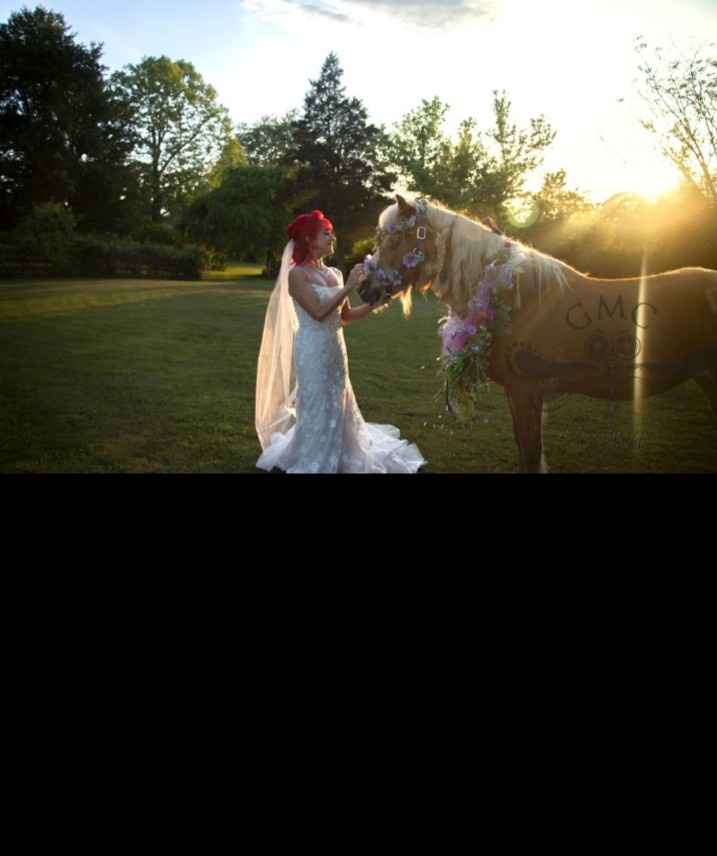 Sneak peek of portrait session.  💜 - 10