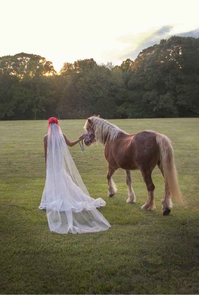 7Days to go, oh my!🥰❤🐴 more tasks completed. - 6