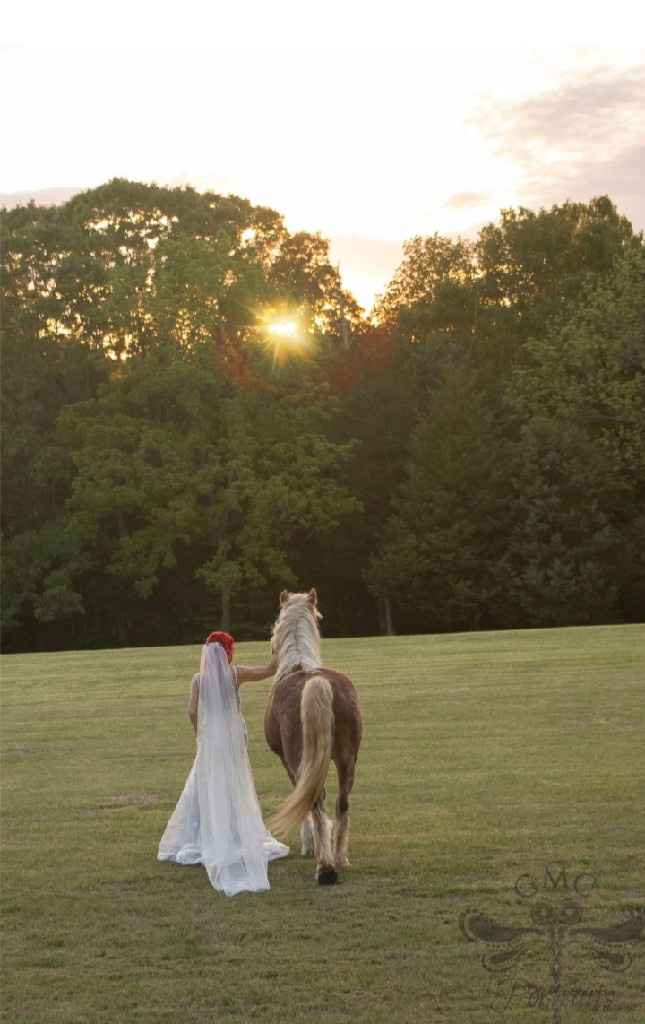 7Days to go, oh my!🥰❤🐴 more tasks completed. - 7