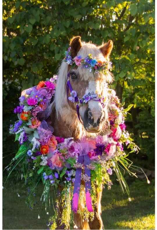 3 days to go! Enjoying the process ❤💜👰💍 - 8