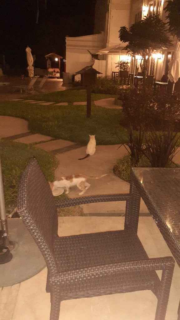 Honeymoon successful,  90 days later.❤ - 1