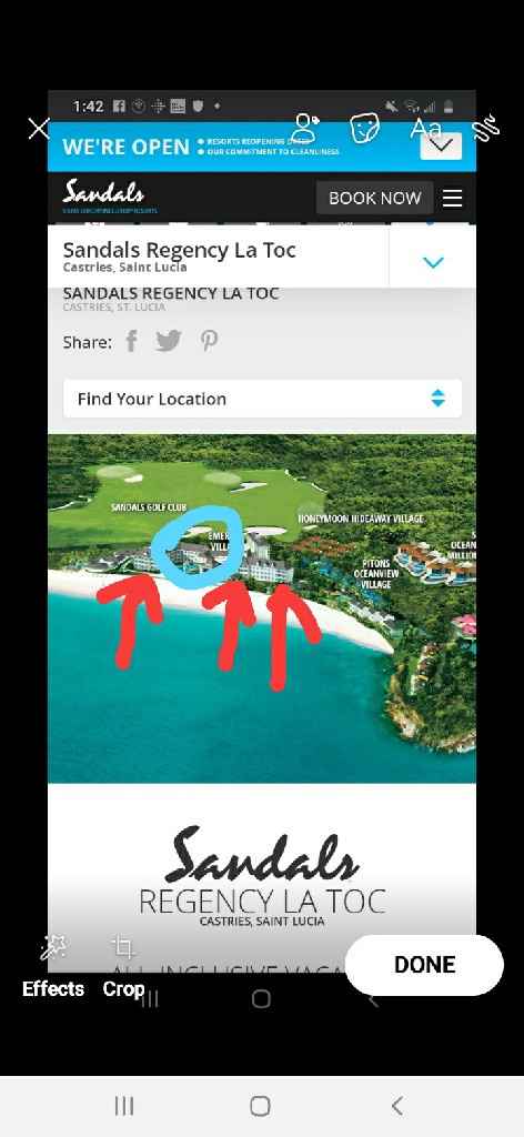 Honeymoon successful,  90 days later.❤ - 1