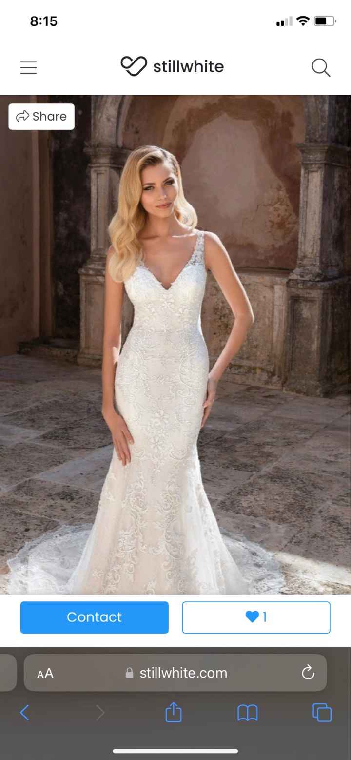 My Custom Dress Experience has Begun! - 1