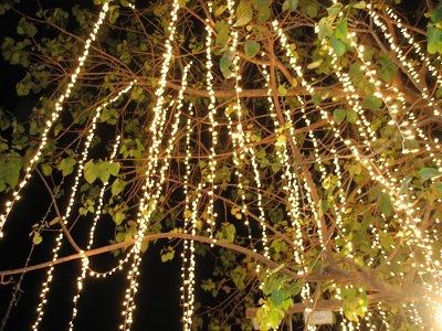 decorating a large outdoor venue?