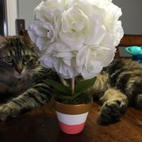 DIY centerpieces