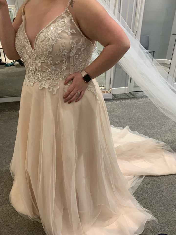 My dress! - 1