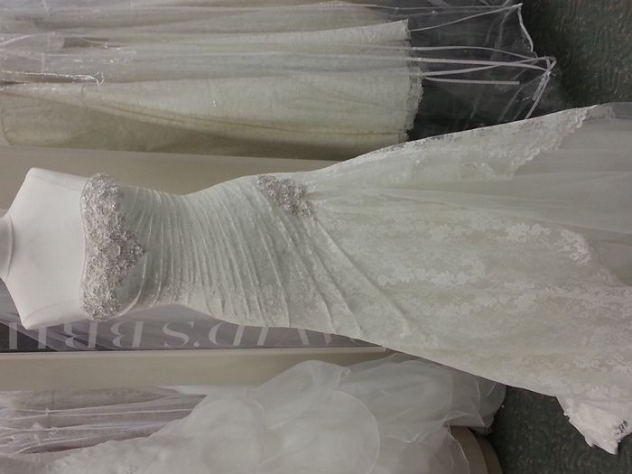 I rang the Bell and Said yes to the dress!! Lets see some of your dresses!!
