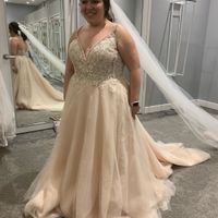 Let me see your dresses! - 1