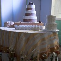 Wedding photos are here!!!