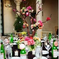 I need to make up my mind.