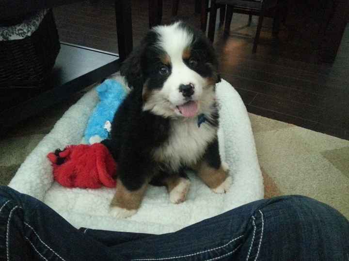 I wishh she could be in our wedding :( (PIC)