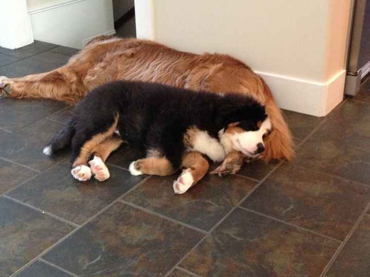 I wishh she could be in our wedding :( (PIC)