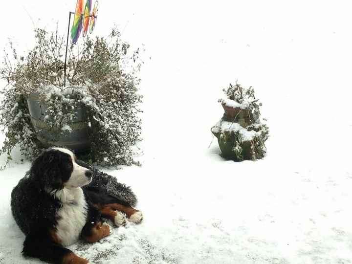 I wishh she could be in our wedding :( (PIC)