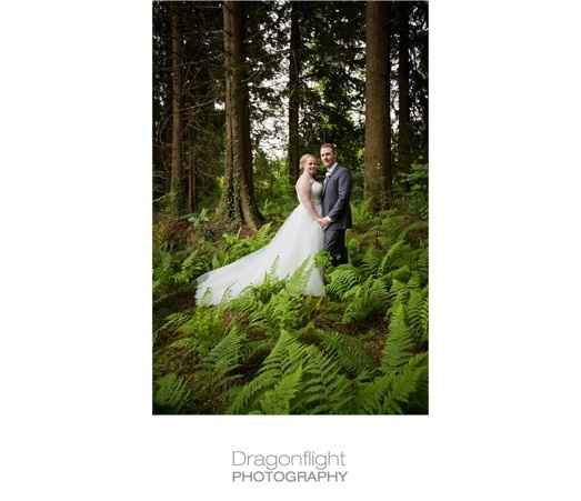 BAM - My official post w/ pro pics