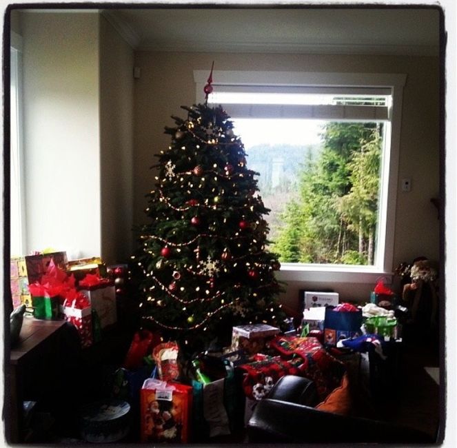 Are you guys having a more modest christmas to save for the wedding?