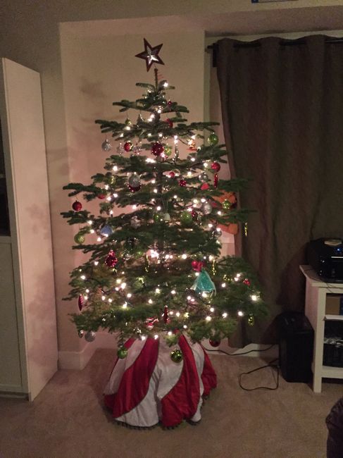 NWR Show me your tree!