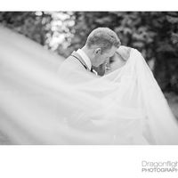 BAM - My official post w/ pro pics