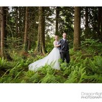 BAM - My official post w/ pro pics