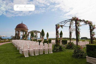 Has anyone seen these before?