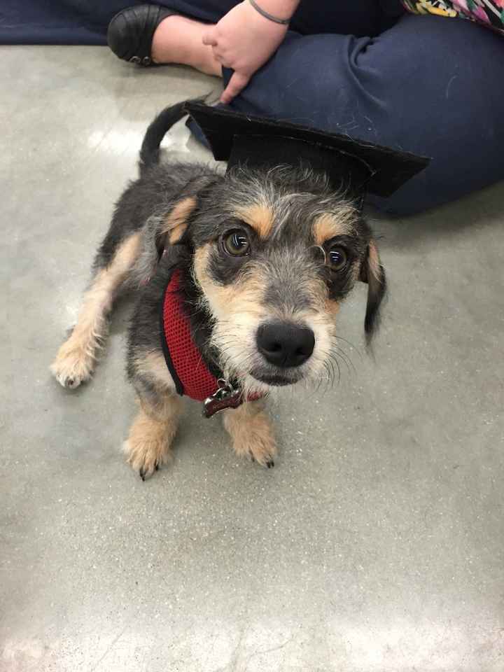 Just realized I haven't introduced myself!