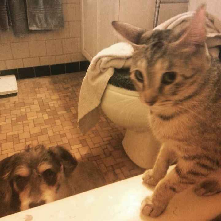 It's Fursday! Share the love!