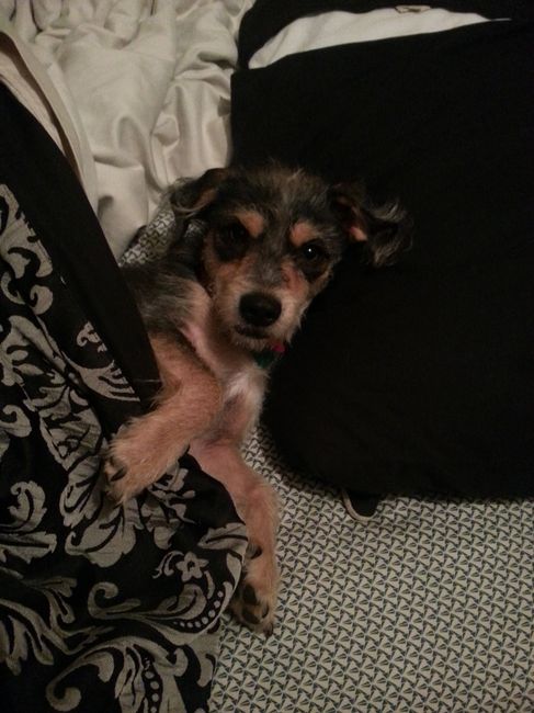 I LOVE my fur baby!