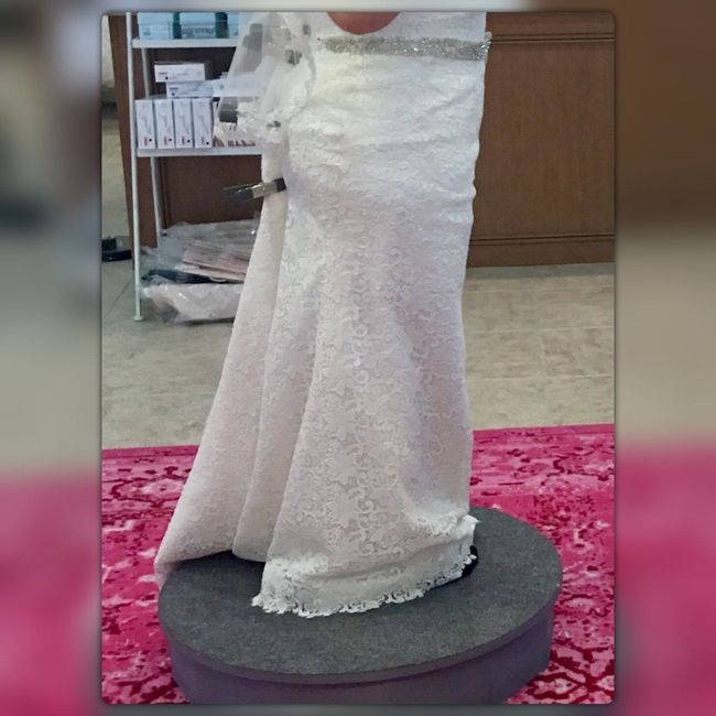 Cathedral veil or shorter? *pics included* - 3