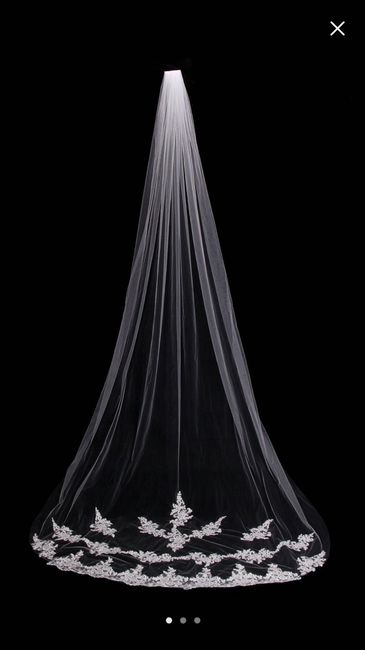 Cathedral veil or shorter? *pics included* - 4