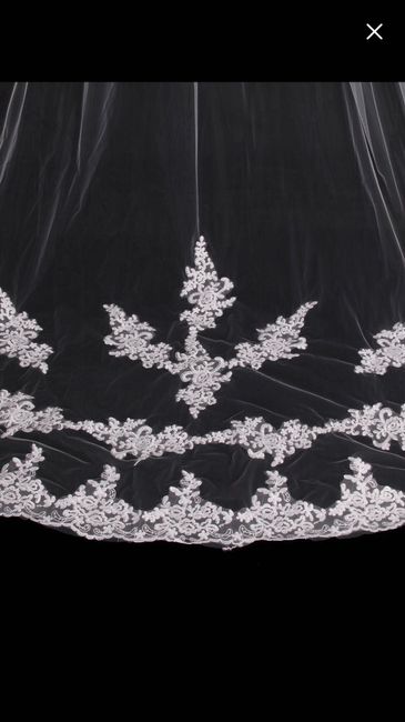 Cathedral veil or shorter? *pics included* - 5