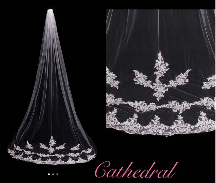 Veil Opinions - Part 2! *pics* - 4
