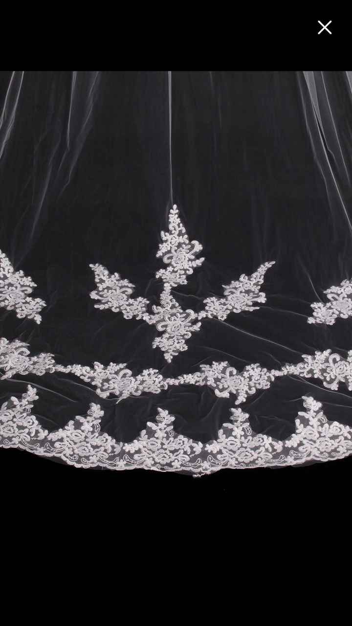 Cathedral veil or shorter? *pics included* - 5