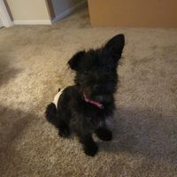 Show me those puppies!