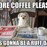 Wedding hook - ups ?