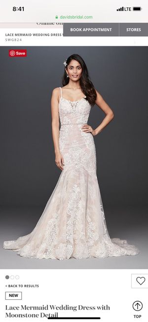 Needing encouragement 2