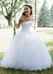 Still didnt order dress