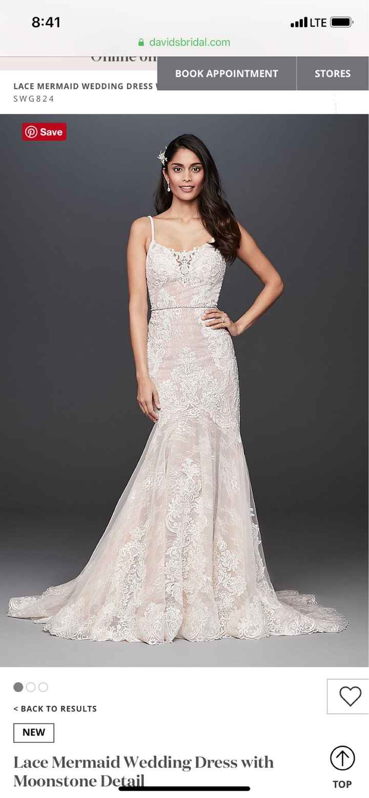 Needing encouragement - 2