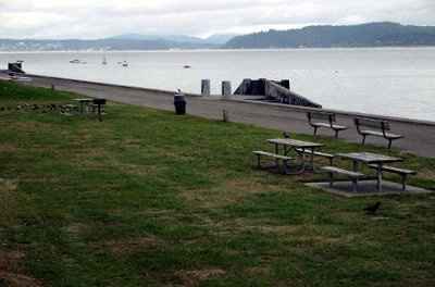 Outdoor Wedding and Reception at Alki Beach