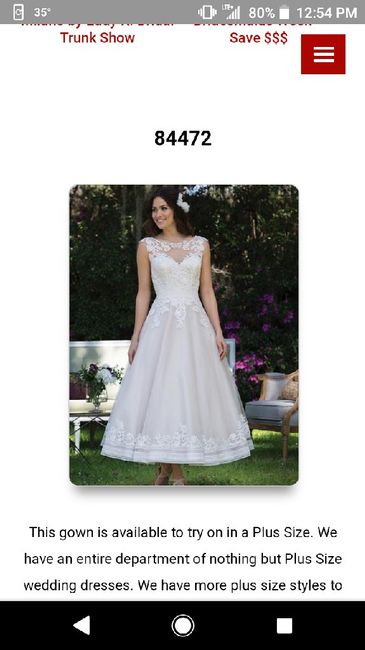 Pittsburgh Wedding Dress Shopping - 1
