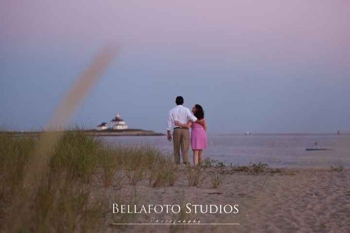 Just Received Professional Engagement Pictures!