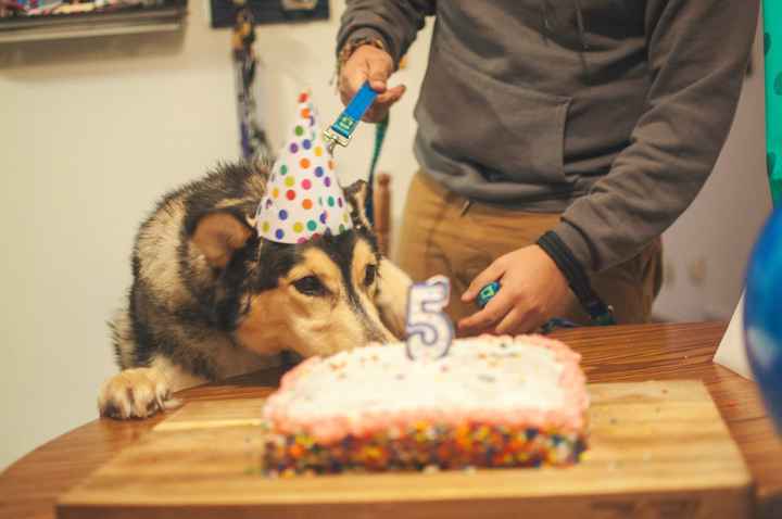 NWR: Show me your pups!