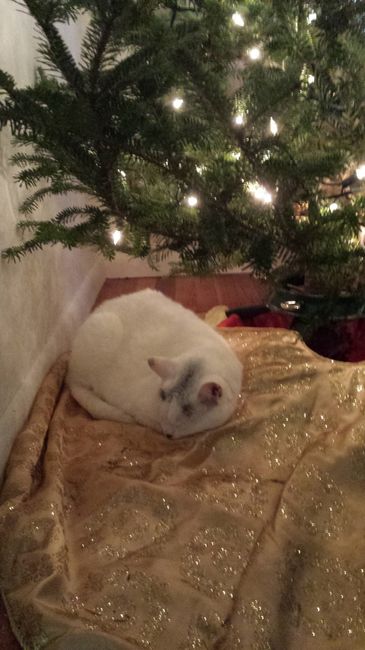 NWR: Fur Baby! :)