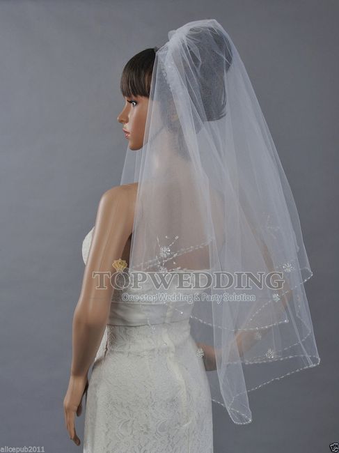 Need help picking a veil