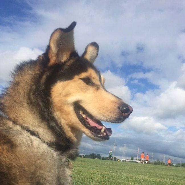 Fur baby
