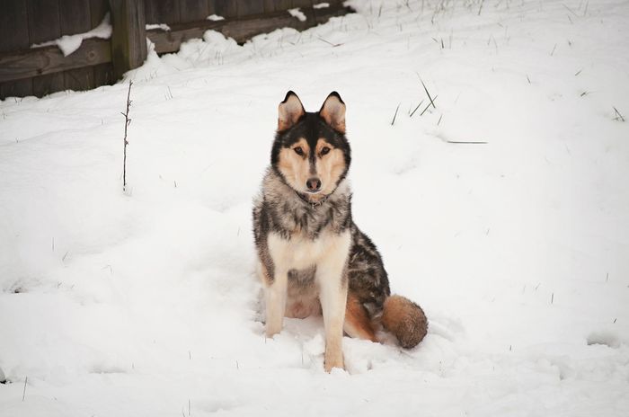NWR: Fursday!
