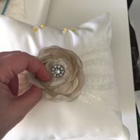 Help, what is your ring bearer carrying down the aisle?