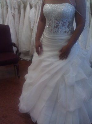 The DRESS- now with pics!