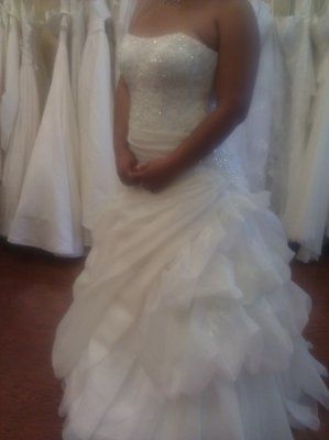 The DRESS- now with pics!